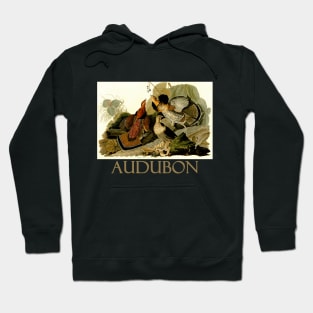 Ruffed Grouse by John James Audubon Hoodie